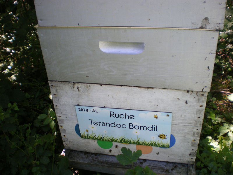 La ruche